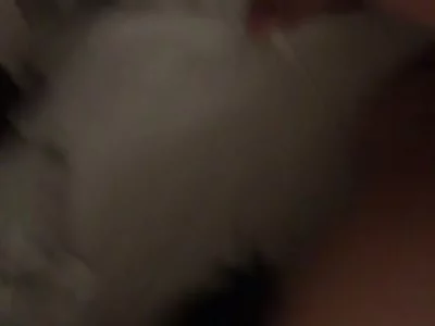 后入狠操！北京骚逼！到处求操！